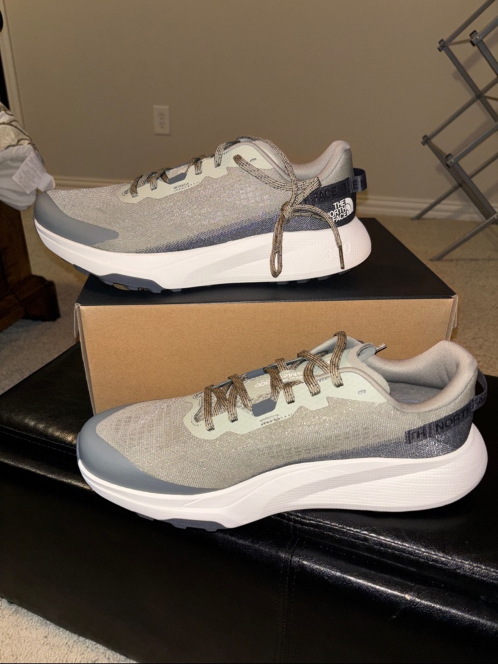 The North Face Men's Altamesa 300